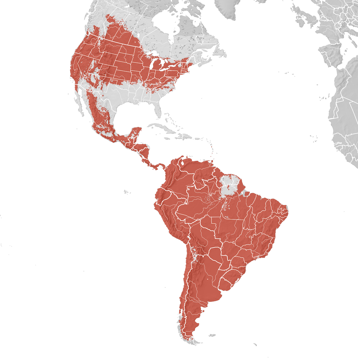 House Wren - Range map: Breeding - eBird Status and Trends