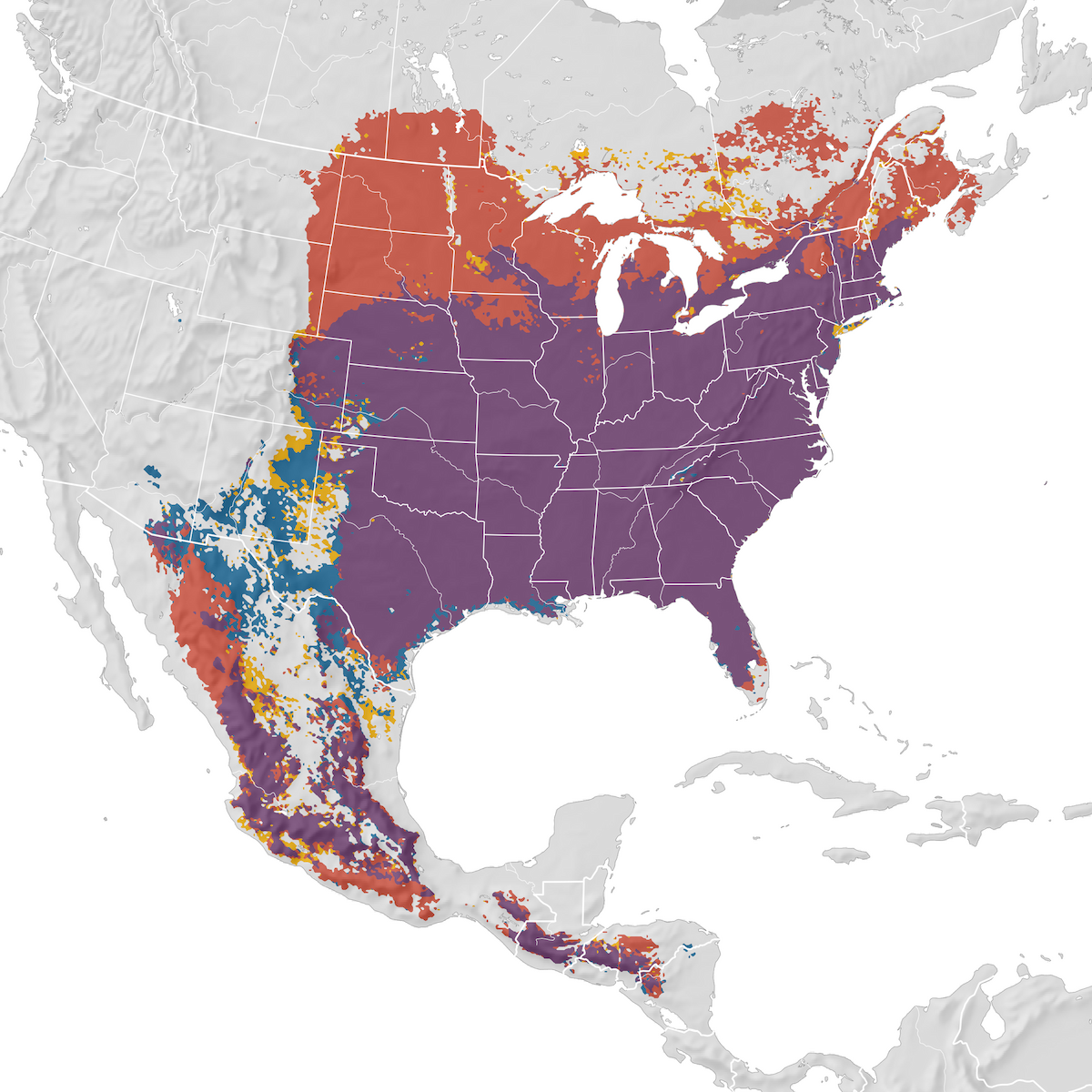 Eastern Bluebird - Range map - eBird Status and Trends