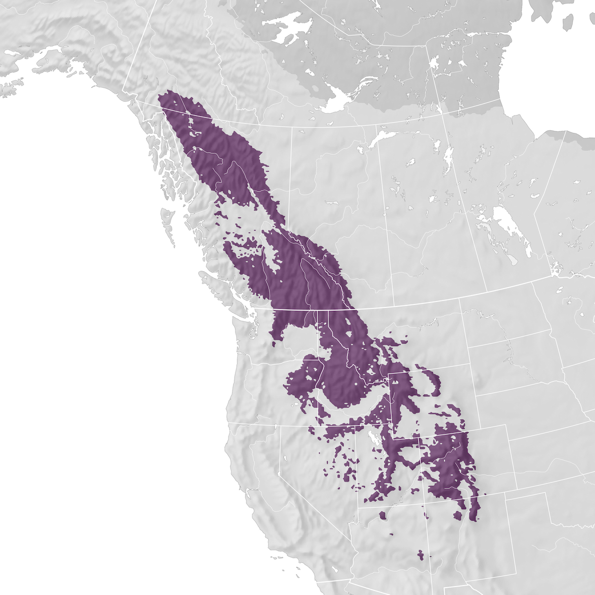 Dusky Grouse - Range map - eBird Status and Trends