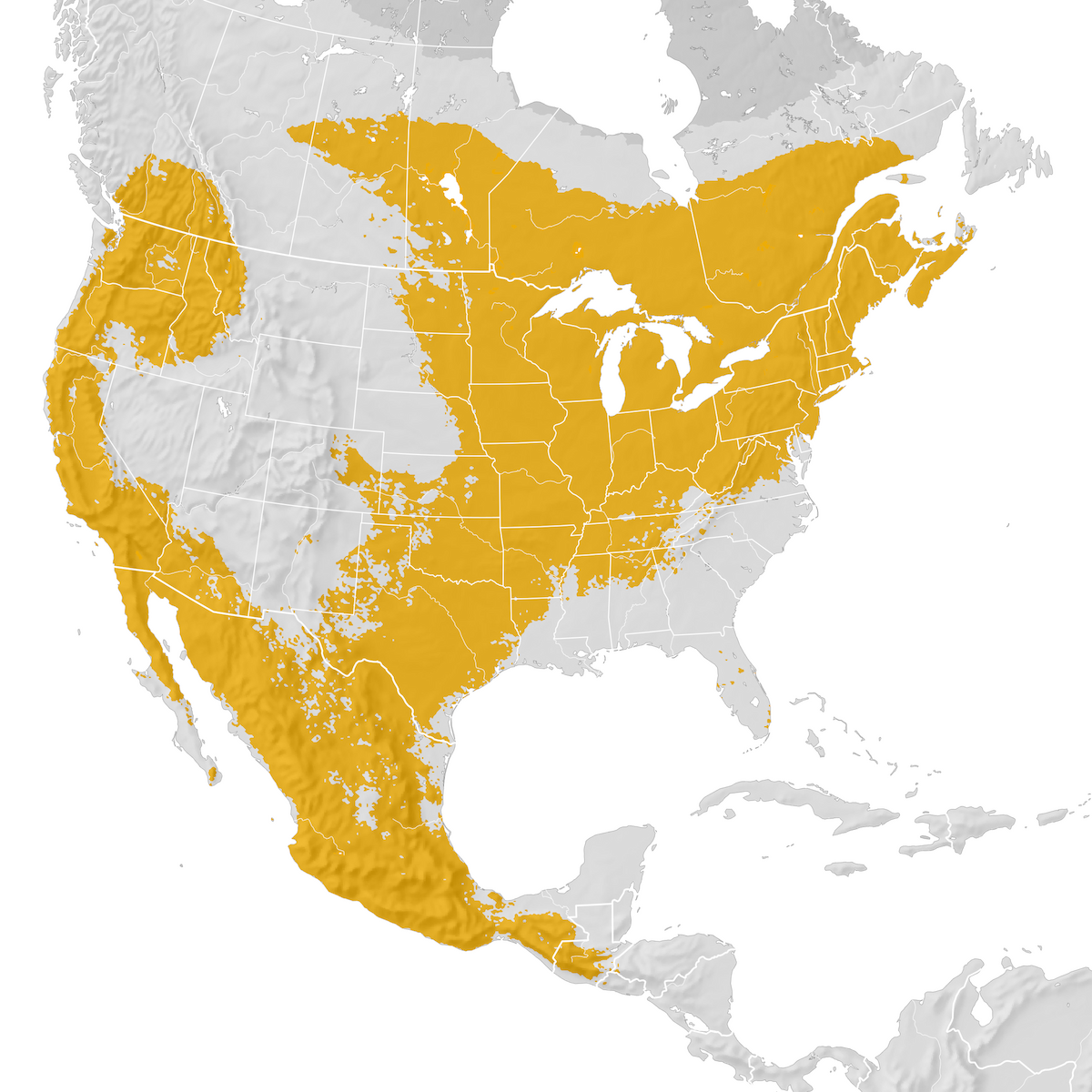 Nashville Warbler - Range Map: Pre-breeding Migration - EBird Status ...