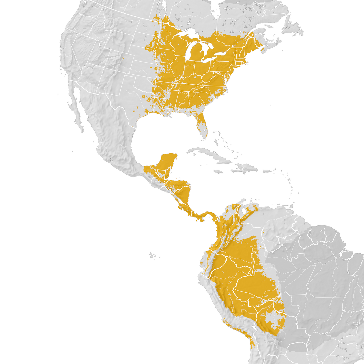 Scarlet Tanager Range map Prebreeding migration eBird Status and