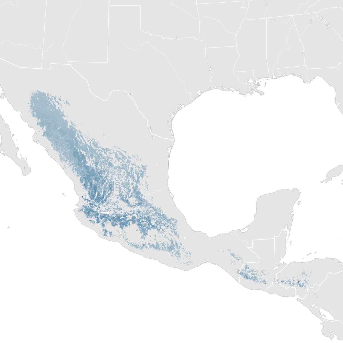 Buff Breasted Flycatcher Abundance Map Non Breeding Ebird Status And Trends