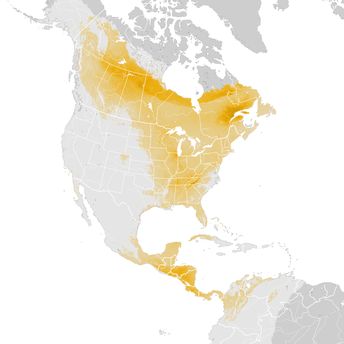 Tennessee Warbler - Abundance map: Post-breeding migration - eBird ...