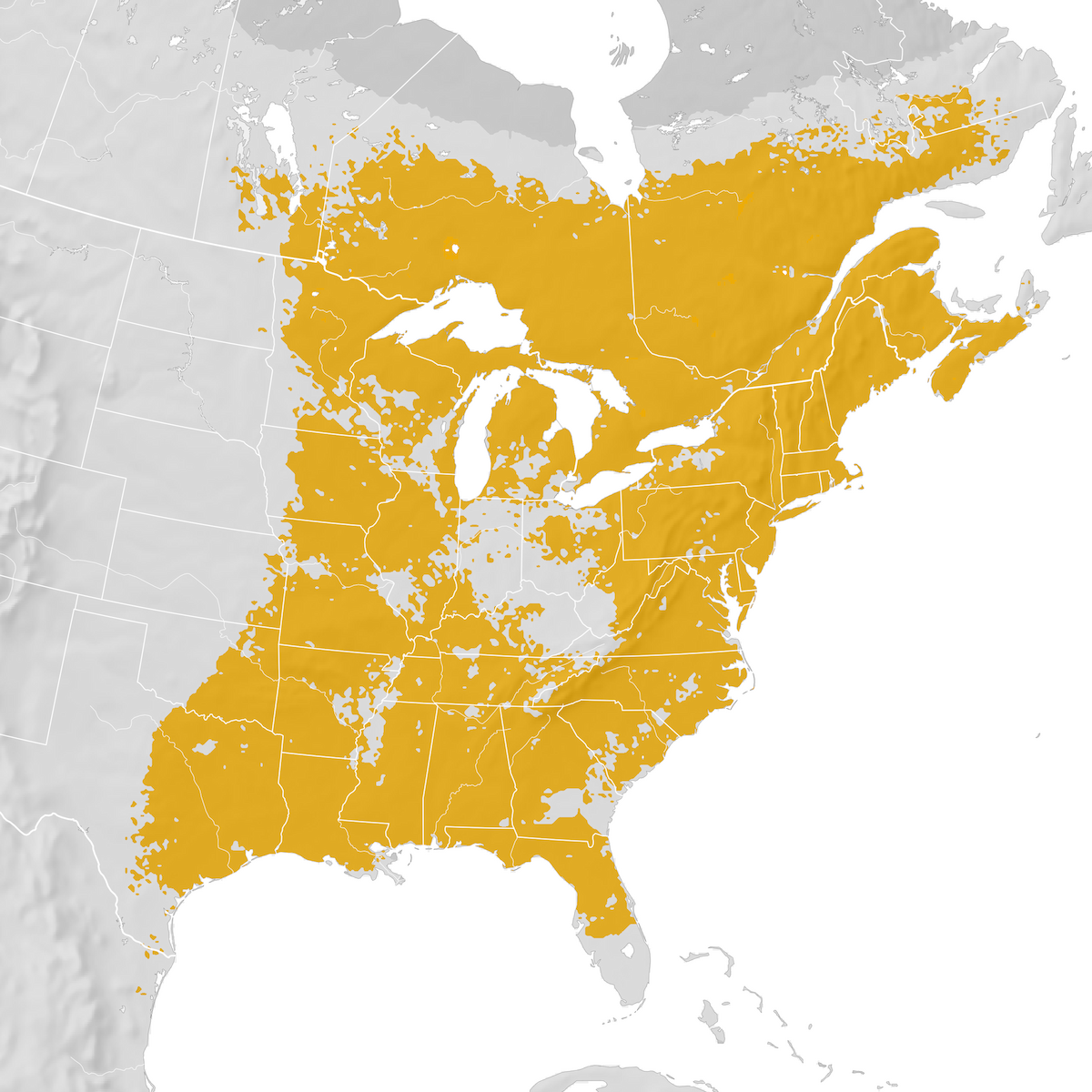 American Woodcock - Range map: Post-breeding migration - eBird Status