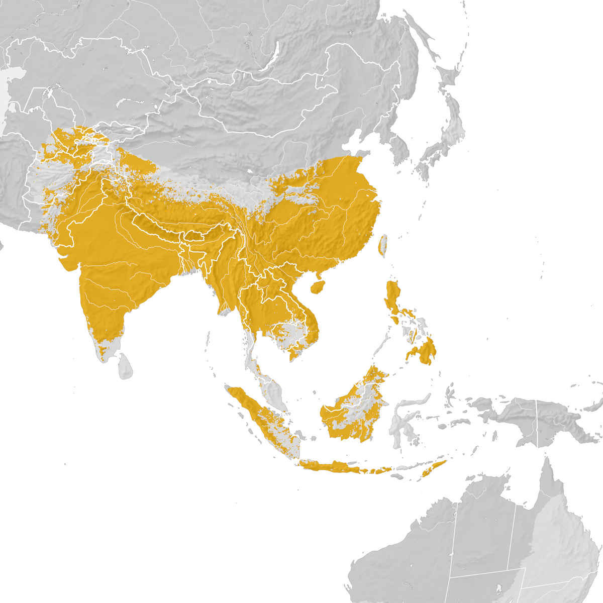 Long-tailed Shrike - Range map: Pre-breeding migration - eBird Status ...