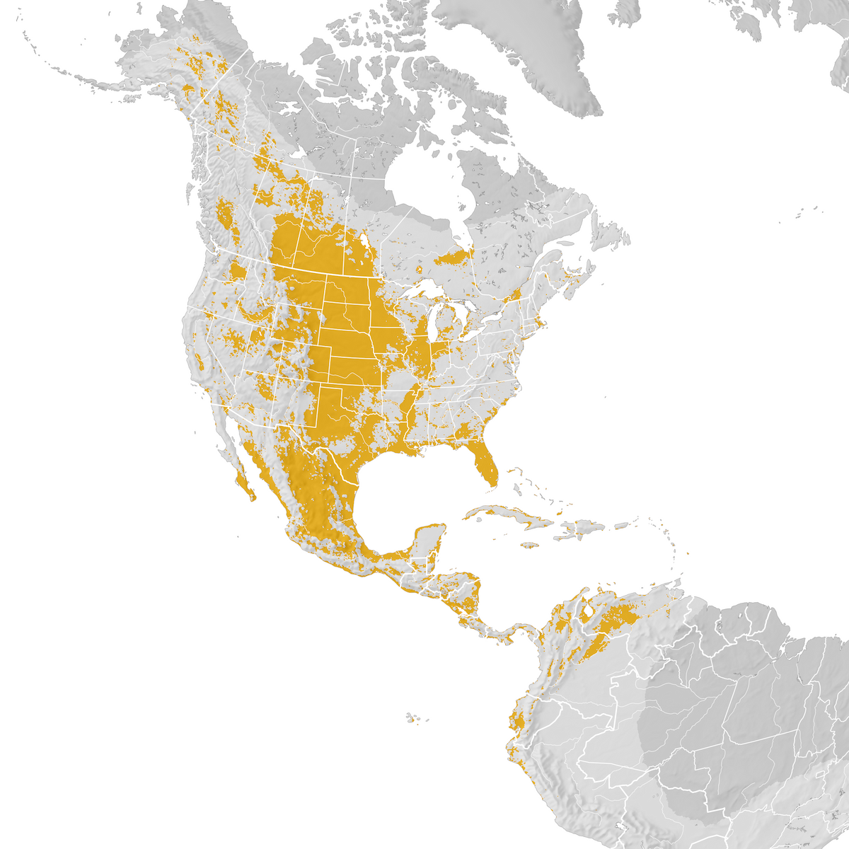 Bluewinged Teal Range map Postbreeding migration eBird Status