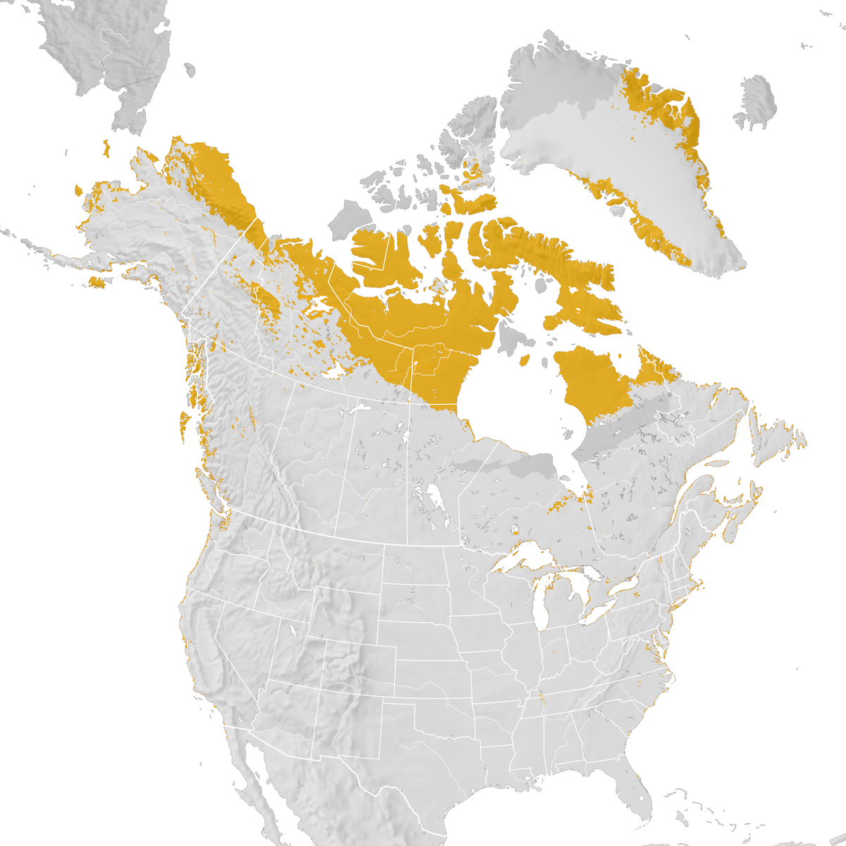 Redthroated Loon Range map Postbreeding migration eBird Status