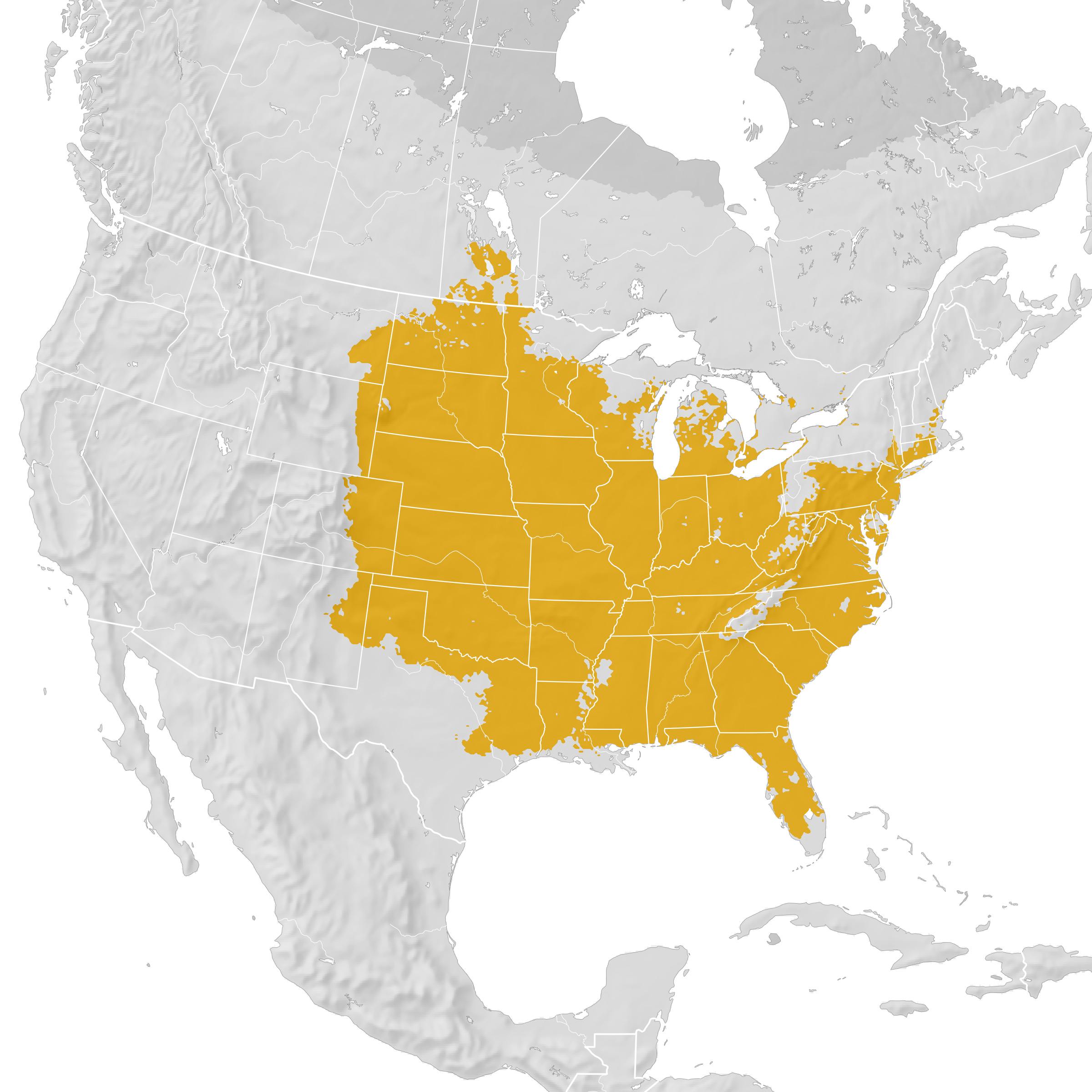 Featured image of post Red Headed Woodpecker Range