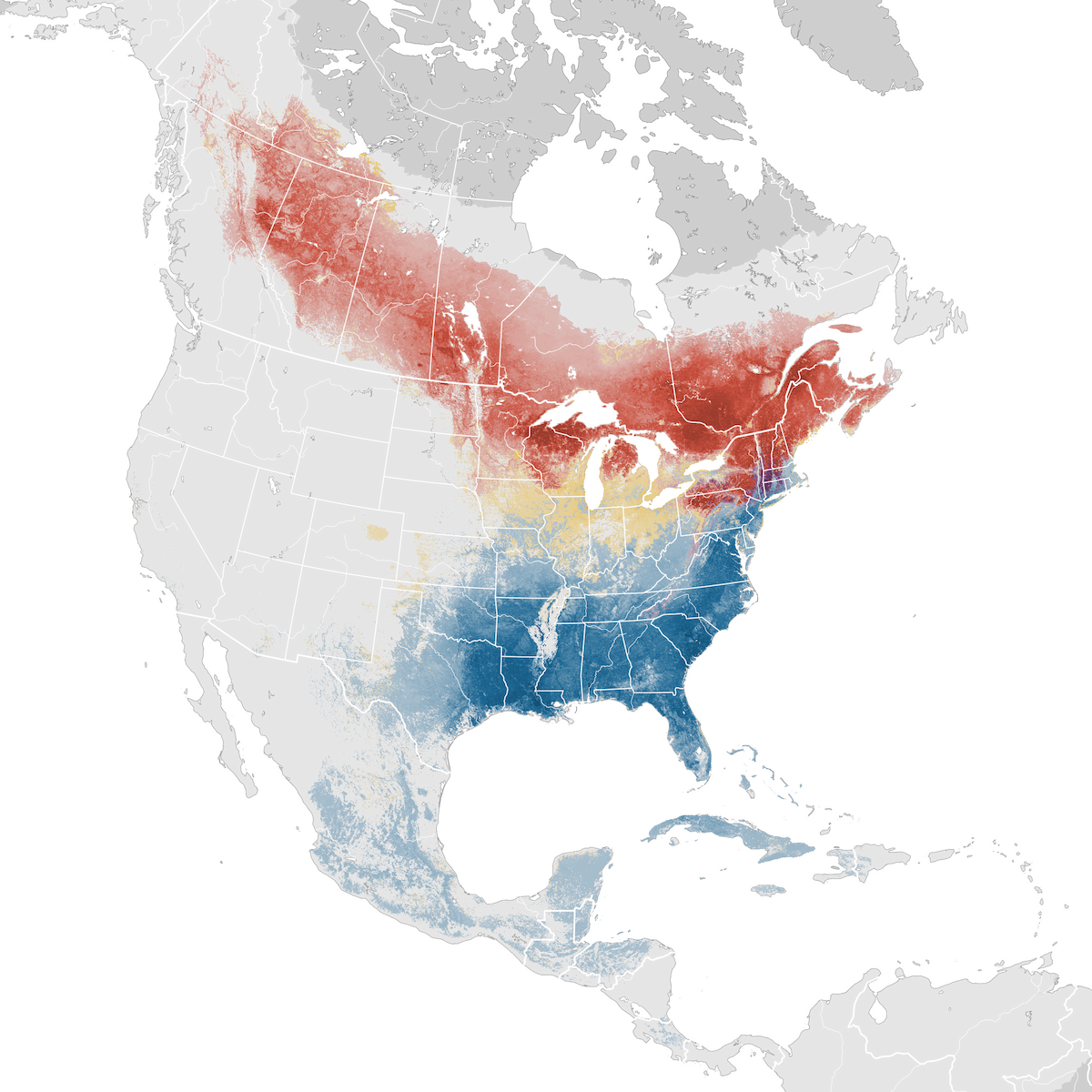 Yellow Bellied Sapsucker Abundance Map Ebird Status And Trends