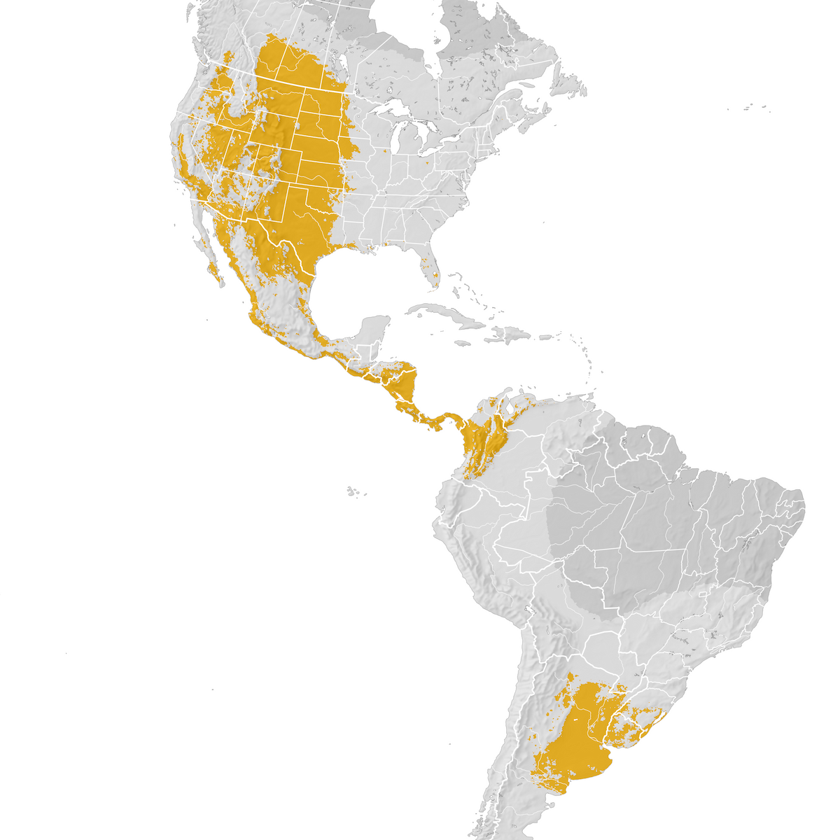 Swainson's Hawk - Range map: Post-breeding migration - eBird Status and