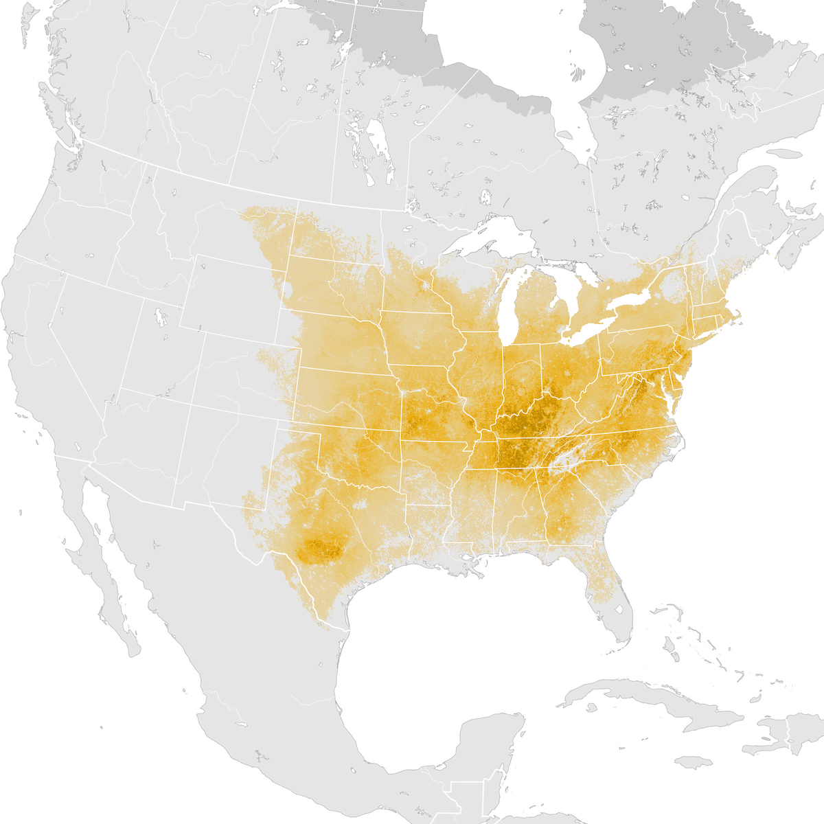 Field Sparrow Abundance Map Pre Breeding Migration Ebird Status And Trends