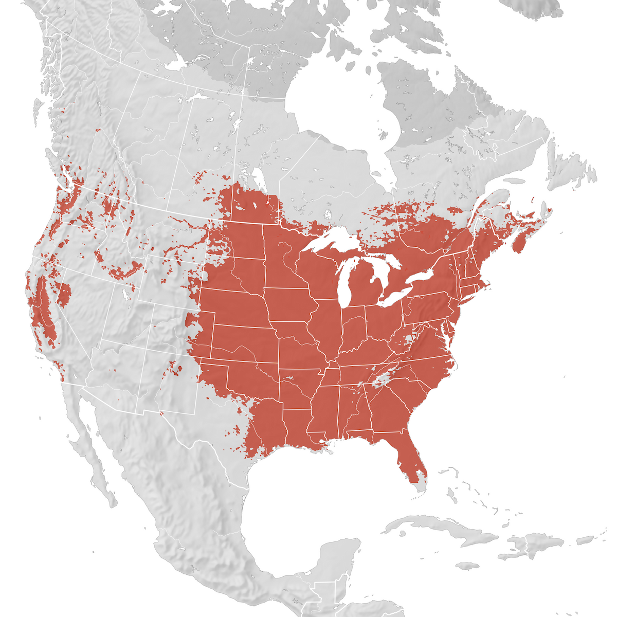 Wood Duck Range map Breeding eBird Status and Trends