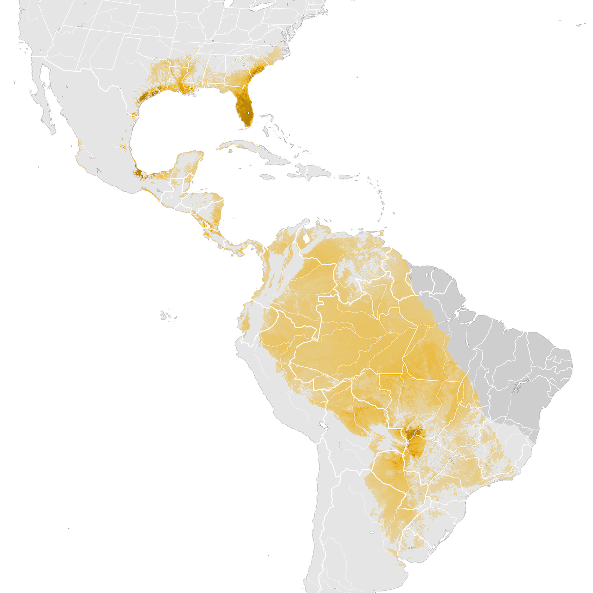 Anhinga - Abundance Map: Post-breeding Migration - EBird Status And Trends