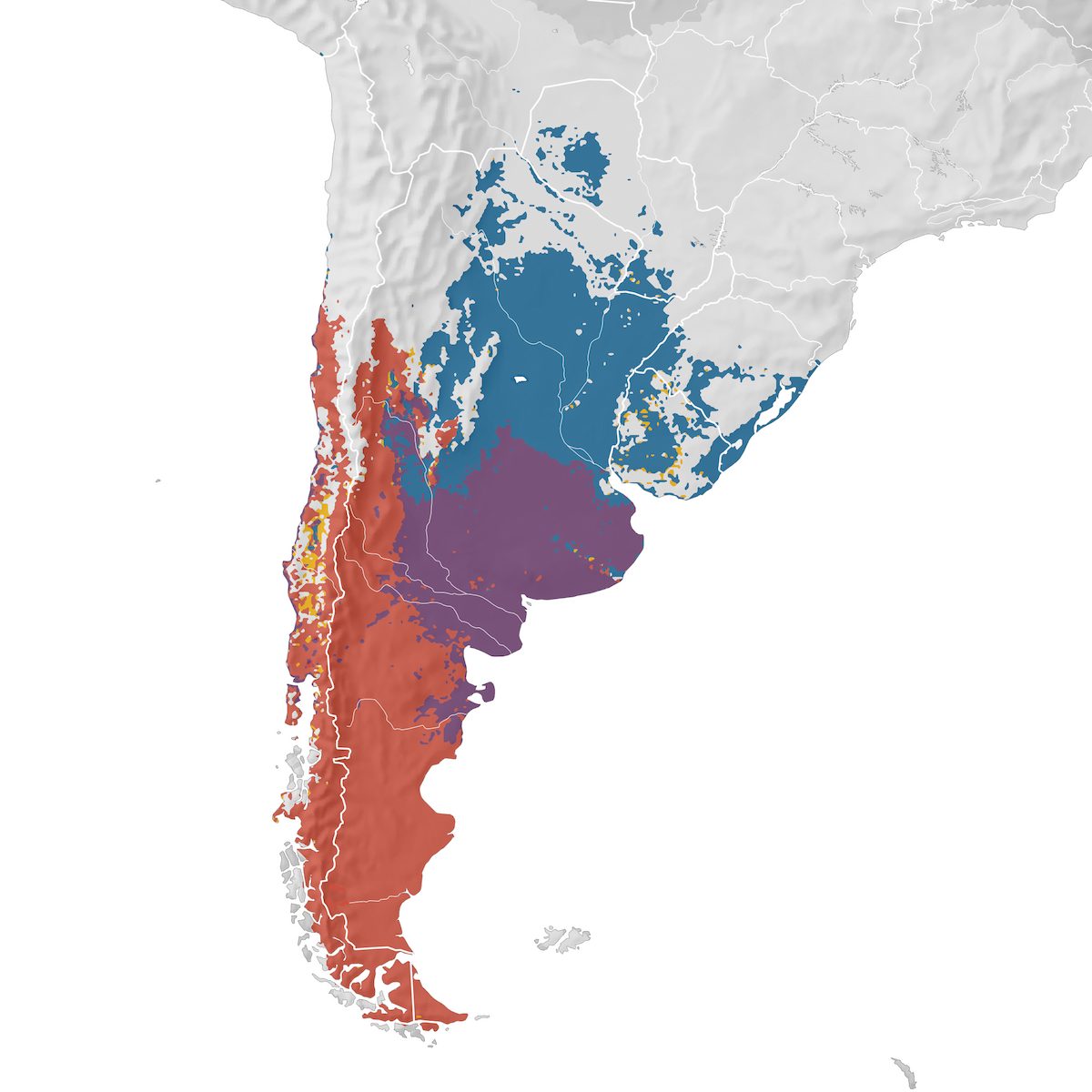 Austral Negrito - Range map - eBird Status and Trends