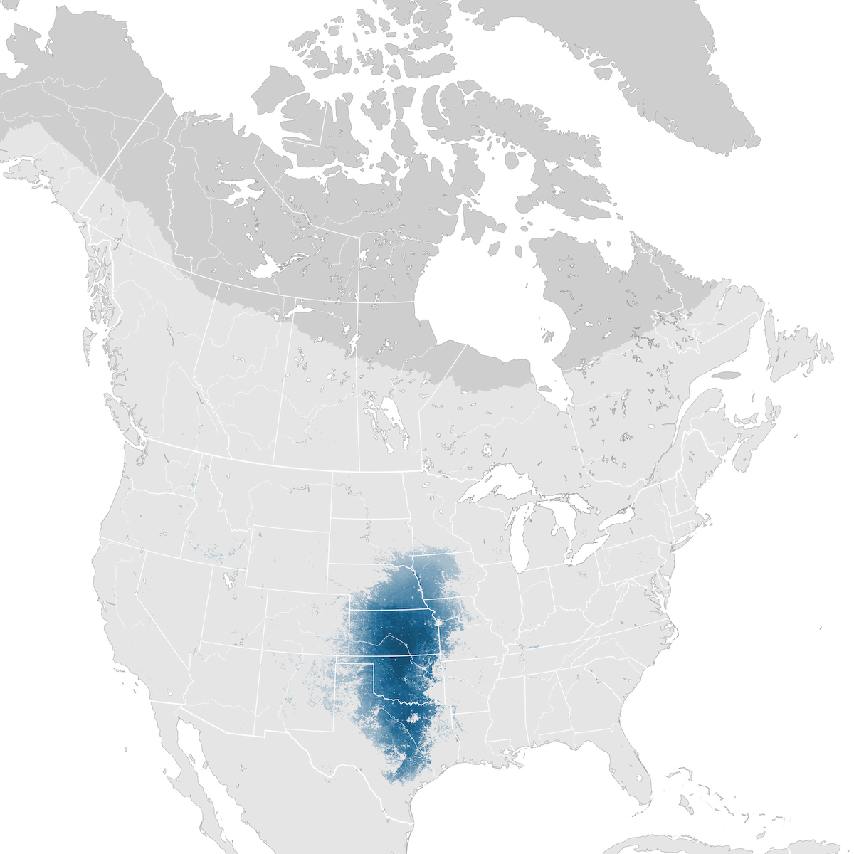 Harris S Sparrow Abundance Map Non Breeding Ebird Status And Trends