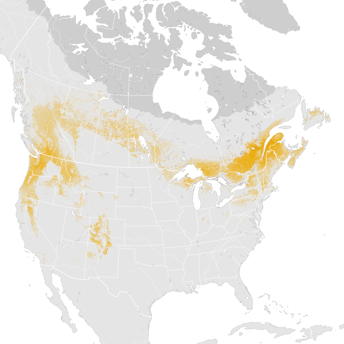 Evening Grosbeak Abundance Map Pre Breeding Migration Ebird Status And Trends