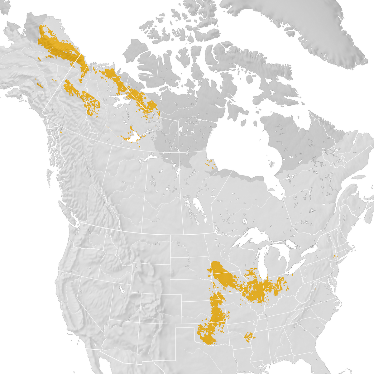 Smith's Longspur - Range Map: Pre-breeding Migration - EBird Status And ...