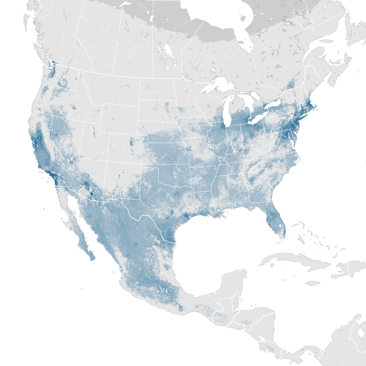 Cooper S Hawk Abundance Map Non Breeding Ebird Status And Trends