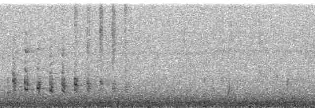 אנפית מנגרובים (גלפגוס) - ML28682