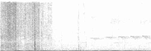 Olivgrau-Ameisenvogel - ML286821371