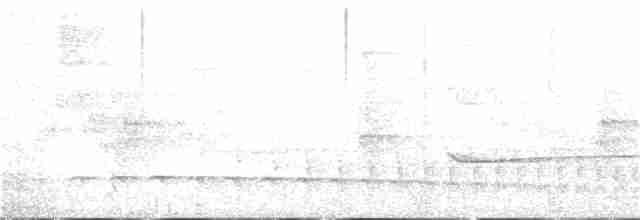 Olivgrau-Ameisenvogel - ML286821401