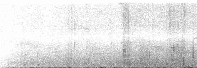 Weißkehl-Ameisenvogel - ML286863
