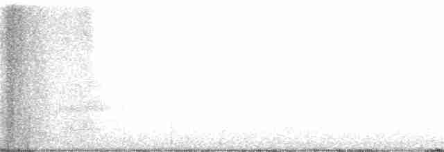 Тауї плямистий - ML286902671