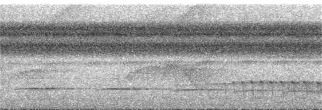 Gelbbrust-Ameisenfänger - ML286907911