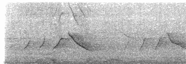 Белоухая сибия - ML286918441