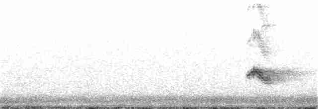 Evening Grosbeak (type 3) - ML286946181