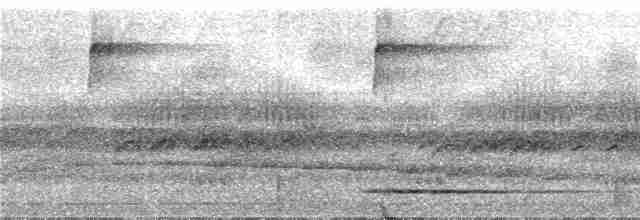 Gray Tinamou - ML286998