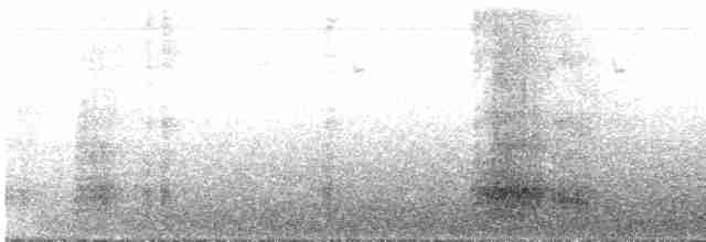 Сероклювый туканет - ML287071