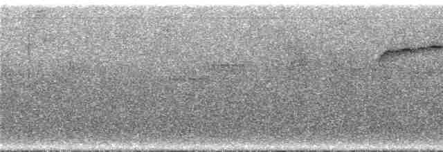 Kestane Alınlı Küçük Tiran - ML287078