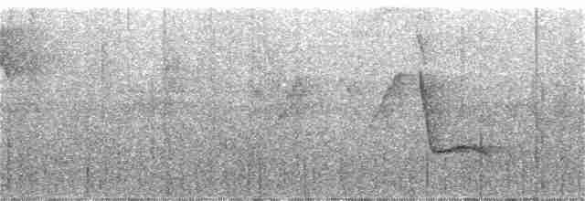 White-winged Shrike-Tanager - ML287151301
