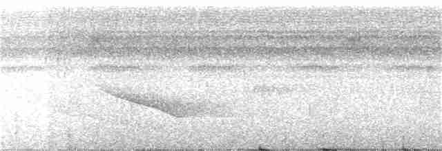 Band-tailed Manakin - ML287178521