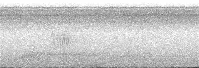 Chestnut-eared Aracari - ML287181601