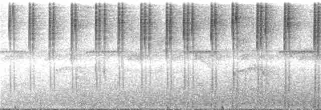 Лиловогрудый колибри - ML287226