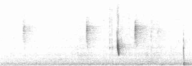Дрізд-короткодзьоб плямистоволий [група guttatus] - ML287260791