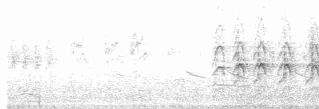 Eurasian Kestrel (Eurasian) - ML287334281