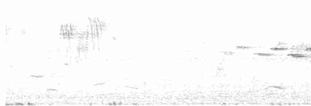 Flavescent Warbler - ML287369571
