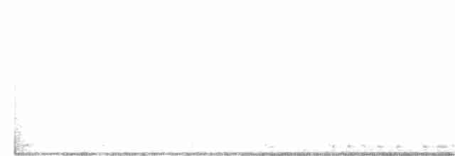 Pale-footed Bush Warbler - ML287388201
