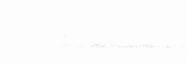 Длинноклювый кулик-сорока - ML287520021
