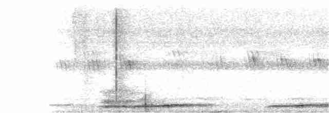 Сова-голконіг далекосхідна - ML287535401