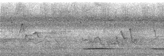 Gray Tinamou - ML287537