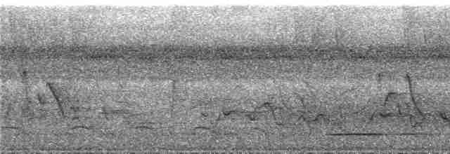 Gray Tinamou - ML287538