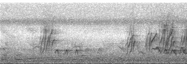 Güneyli Sert Kanatlı Kırlangıç - ML287575