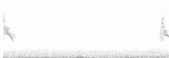 Белокрылая канделита - ML287775491