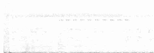 Blue-crowned Trogon - ML287847621