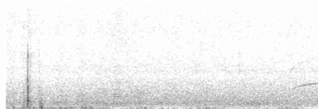 Дрізд-короткодзьоб південний - ML28792741