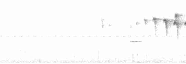 Graubrauen-Baumschlüpfer - ML28795721